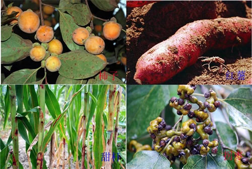 污水處理應用方案